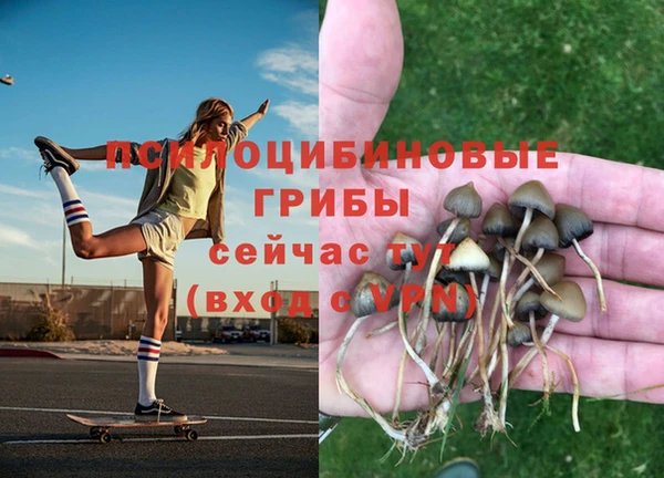 мдпв Вязники