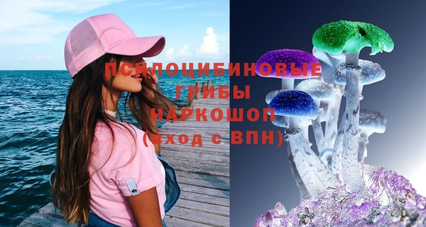 индика Алексеевка