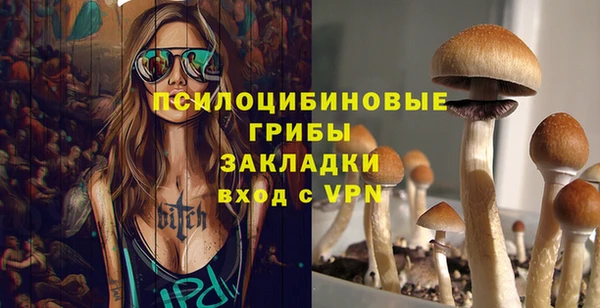 кристаллы Болотное
