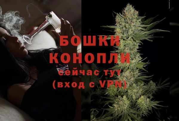 трава Алзамай