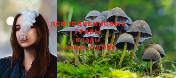 индика Алексеевка