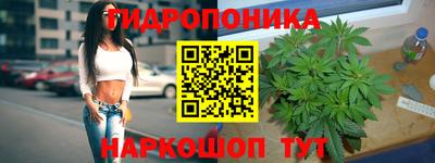 амф Балахна