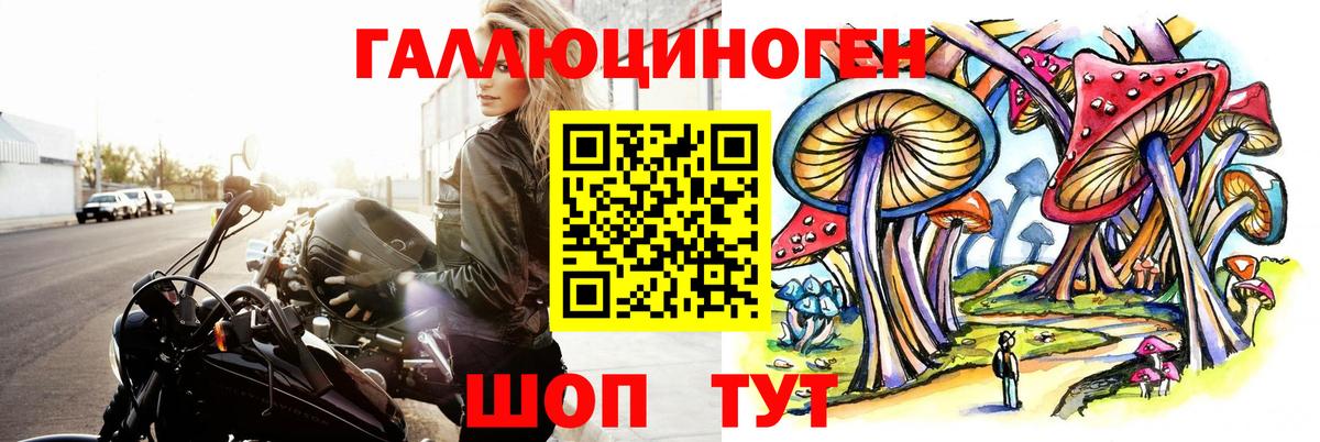 Псилоцибиновые грибы мицелий Дедовск